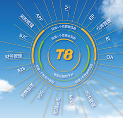 中型企業(yè)管理-T8